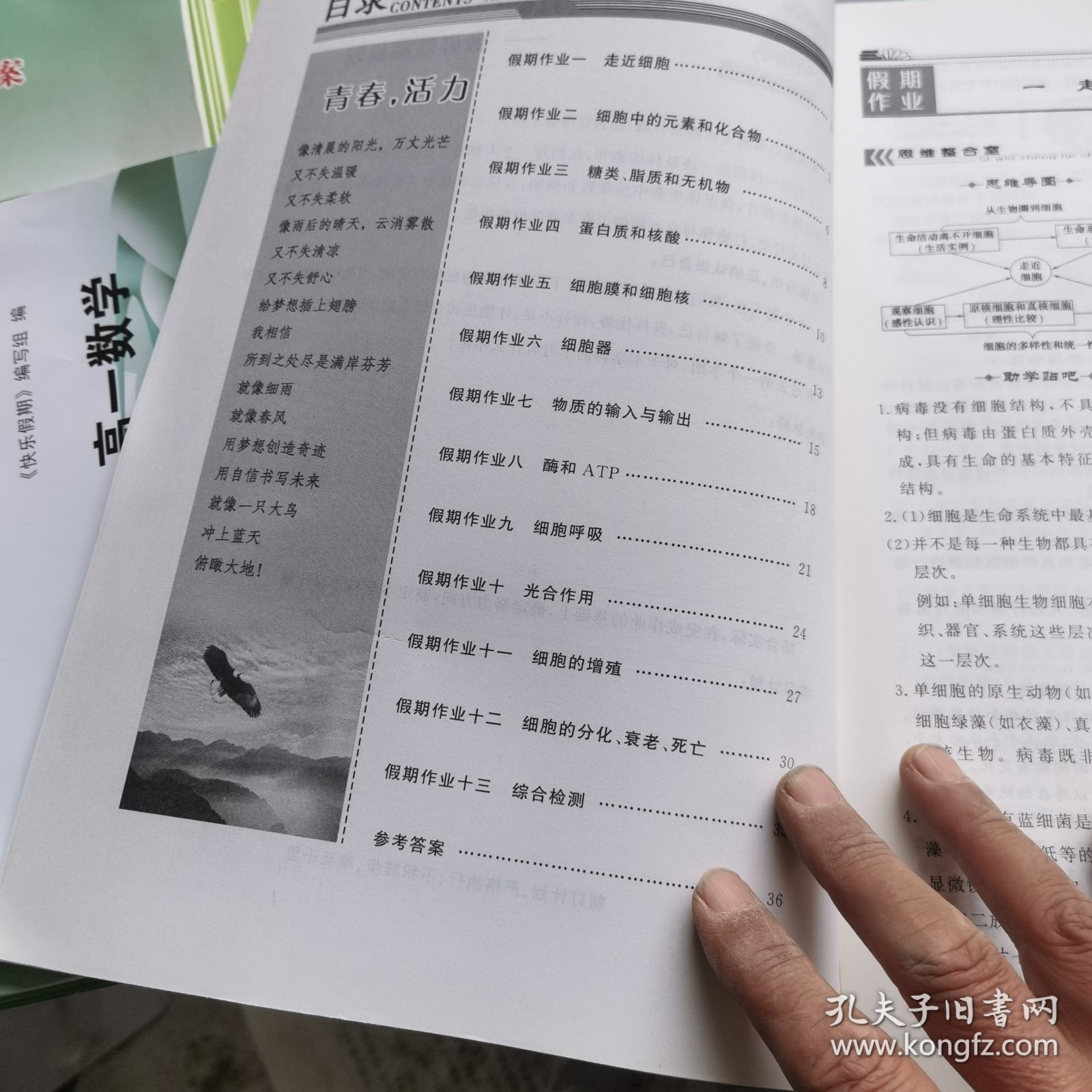 点击查看原图 快乐假期高一生物