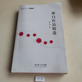 林白作品精选：跨世纪文丛精华本