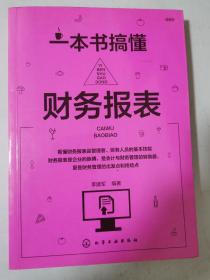 一本书搞懂财务报表  16开