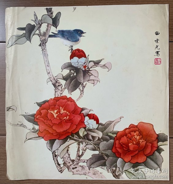 田世光画作，老画片