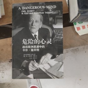 危险的心灵：战后欧洲思潮中的卡尔·施米特