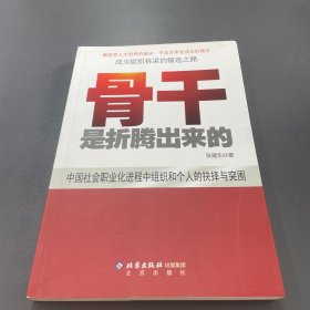 中国本土红色管理书系：骨干是折腾出来的