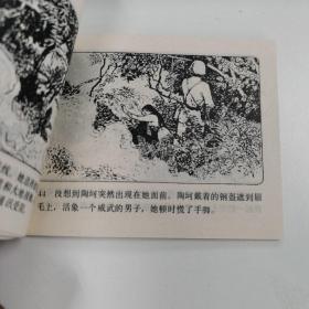 精品连环画：《阮氏丁香》