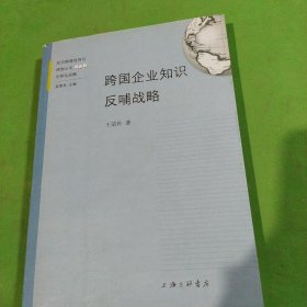 知识跨境传导与跨国公司R&D全球化战略（全九册）