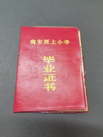 南安西上小学毕业证书