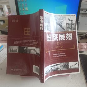 雄鹰展翅：空军的历史