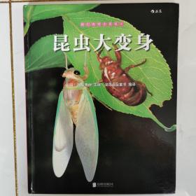 我们去找小昆虫4：昆虫大变身