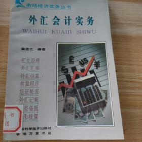 外匯會計實務(wù)