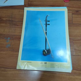 九年义务教育中学音乐教学挂图 乐器（45张 合售）