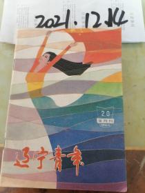 辽宁青年    1984年20期