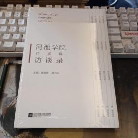 河池学院作家群访谈录.