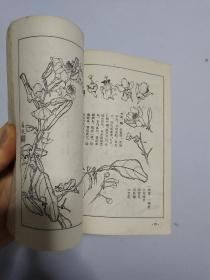 花卉画谱 品相自然旧 竖版 非馆藏无涂画 1963年一版一印 精品近85品