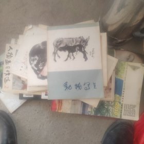 动物写生（黄胄画集）
