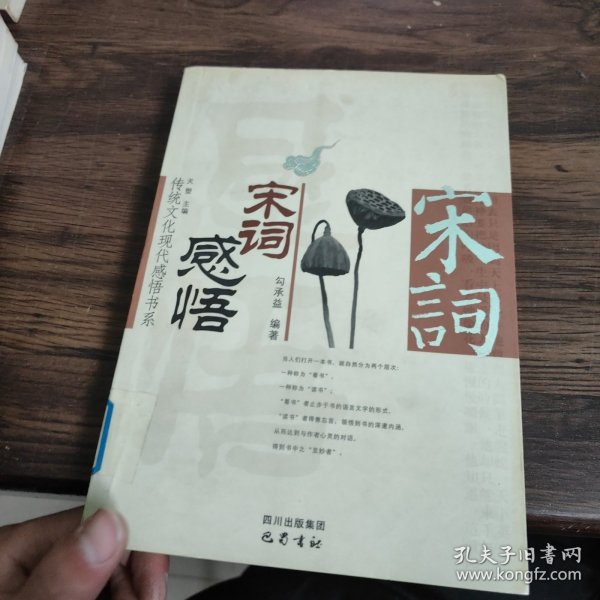 宋词感悟——传统文化现代感悟书系