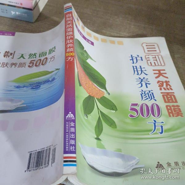 自制天然面膜护肤养顏500方