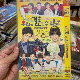 韩剧 我们可以结婚吗 DVD