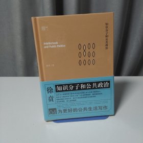 知识分子和公共政治