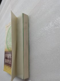 传统文化与现代文化。