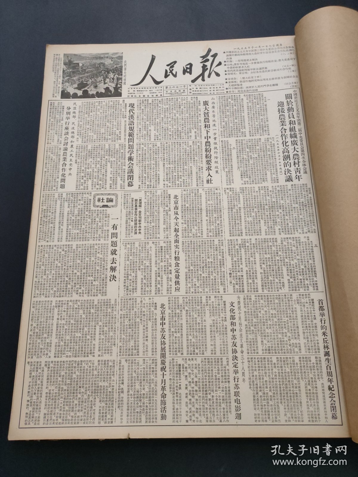 人民日报1955年11月