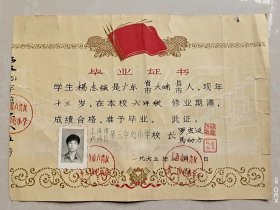 1965年上海市卢湾区第三中心小学毕业证书