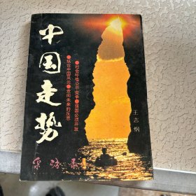 中国走势采访录