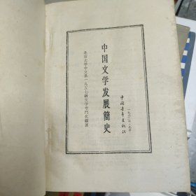 中国文学发展简史