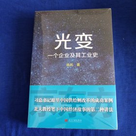 光变：一个企业及其工业史