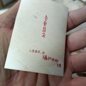 黑白照片 1952西郊公园