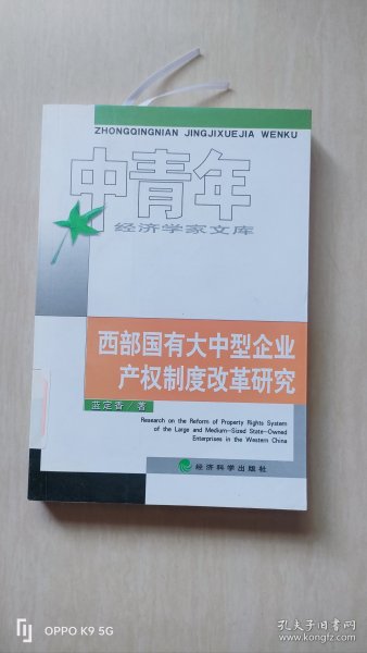 西部国有大中型企业产权制度改革研究