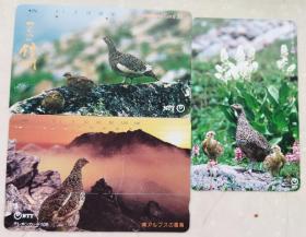 日本电话卡～鸟类动物专题--雷鸟（过期废卡，收藏用）