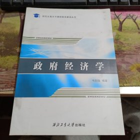 研究生高水平课程体系建设丛书：政府经济学