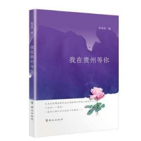 【正版图书】我在贵州等你