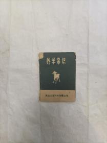 养羊常识