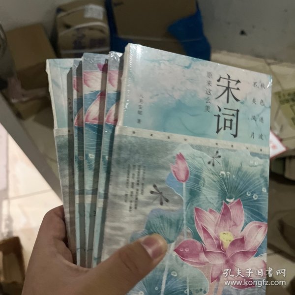 秋色连波，不关风月：宋词原来这么美（汇聚词学名家集说，博采众长；严选善本，精校精注）