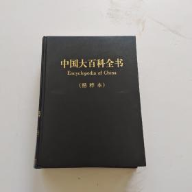 中国大百科全书 精粹