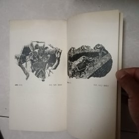 1957年南斯拉夫现代版画艺术展览会