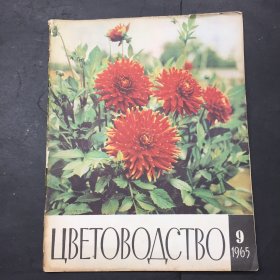 ЦВЕТОВОДСТВО 1965 9 (花卉栽培，俄文书)