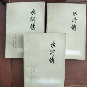 水浒传（人民文学）