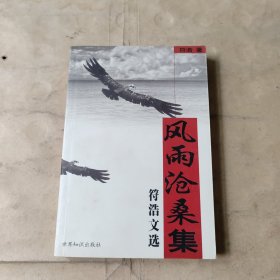 风雨沧桑集:符浩文选（符浩 签名保真）