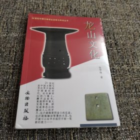 龙山文化 7501016860