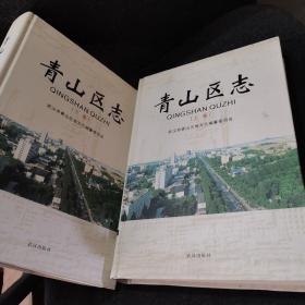 武汉市青山区志（上下卷）全二册