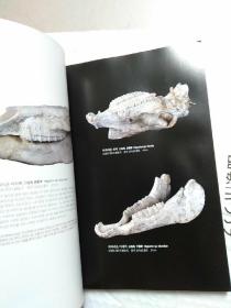 석장리박물관상설전시도록石长里博物馆常设展览图