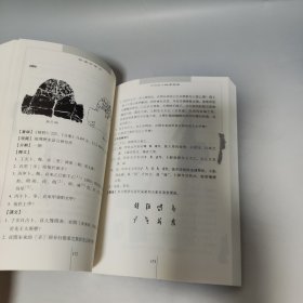 中国古文字导读 殷墟甲骨文