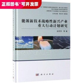 能源新技术战略性新兴产业重大行动计划研究