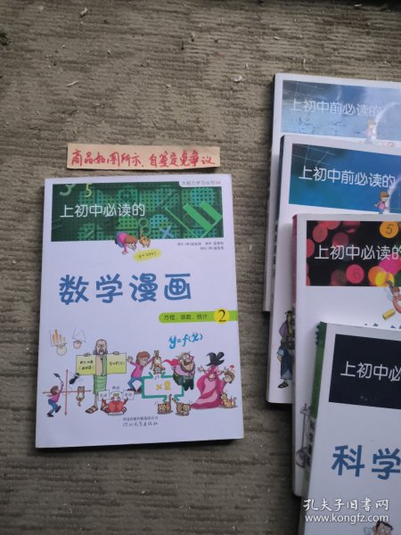 《上初中必读的数学漫画2：方程、函数、统计》——启发精选大能力学习丛书