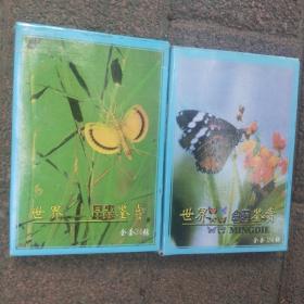 世界昆虫鉴赏，世界名蝴蝶鉴赏，两套共48张