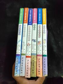 安房直子幻想小说代表作（全六册）（黄昏海的故事、银孔雀、遥远的野玫瑰村，白鹦鹉的森林，风与树的歌，花香小镇）