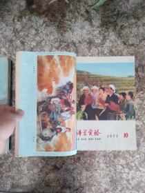 科学实验 1973全年1-12期全（11、12合刊）