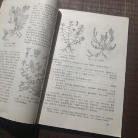 【老教材】上海师大试用教材 中草药学，上海师范大学生物系，1975年编，有毛主席语录