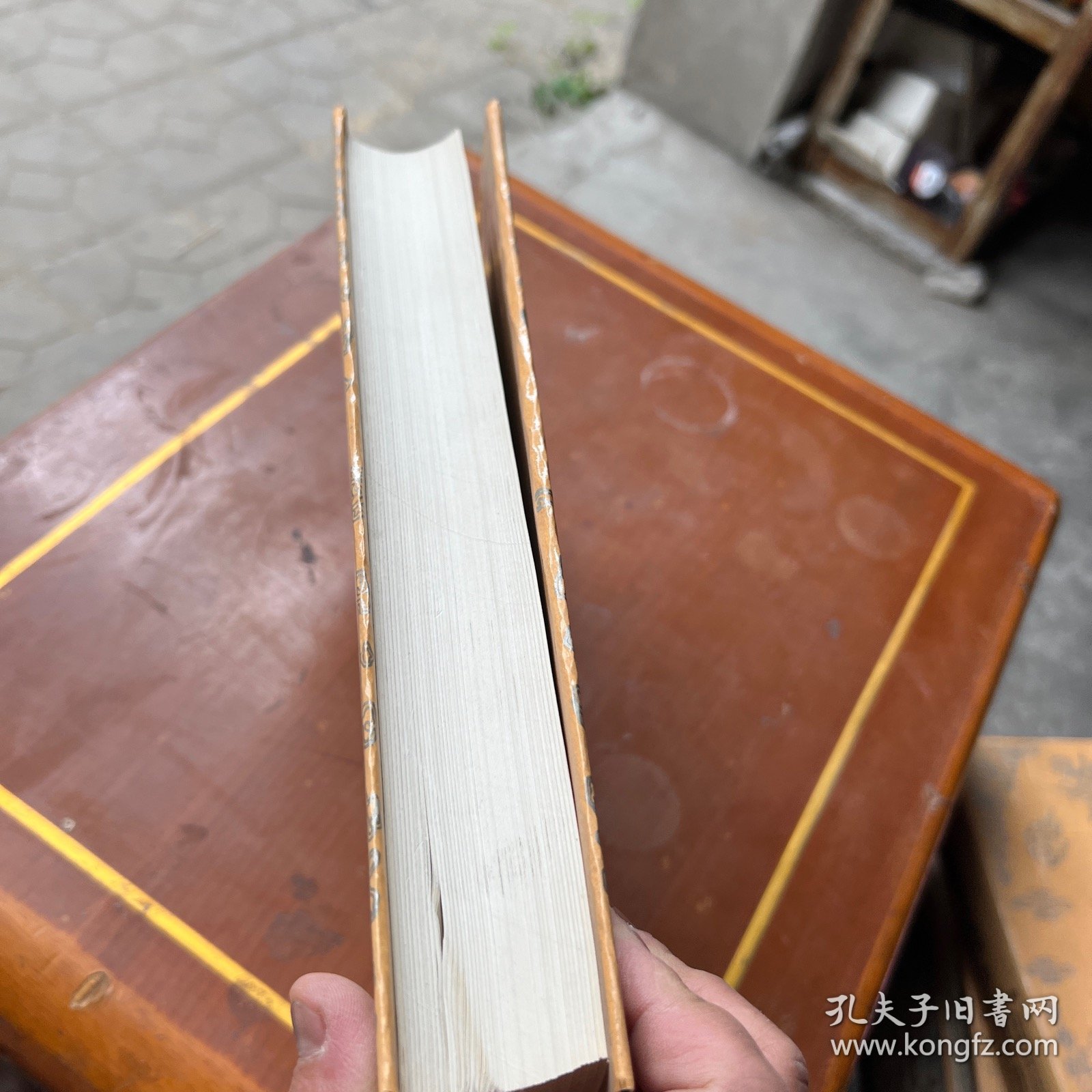 北京图书馆古籍珍本丛刊.11.史部.杂史类、建文朝野汇编、建文书法拟名臣宁攘要编、夷俗记、辽事述